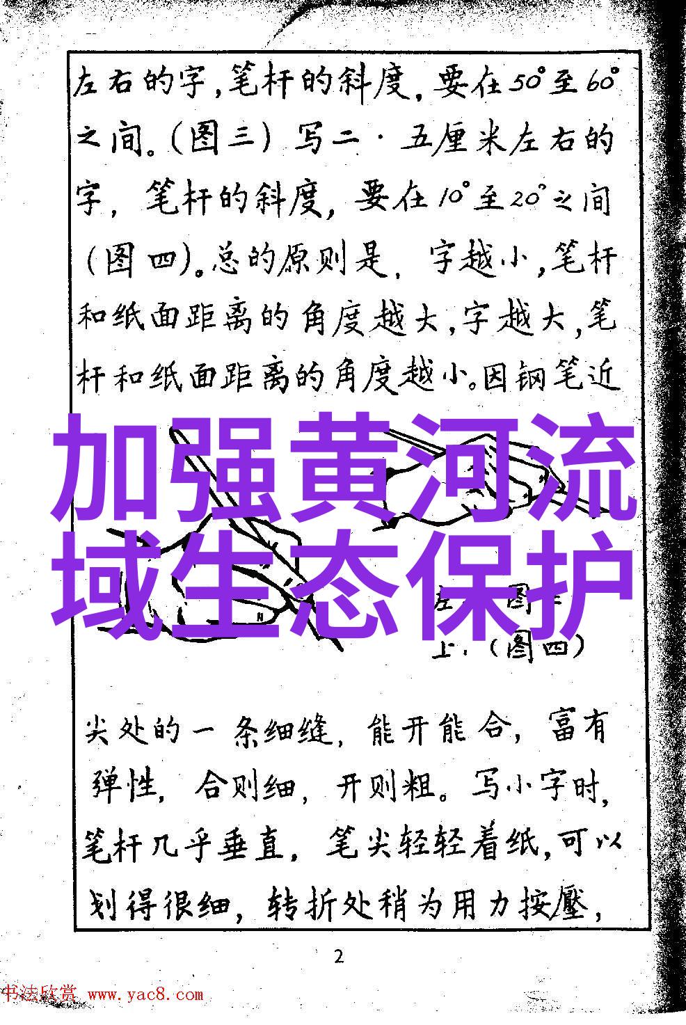 小修士的奋斗我是如何从一名普通修士成长为传奇者