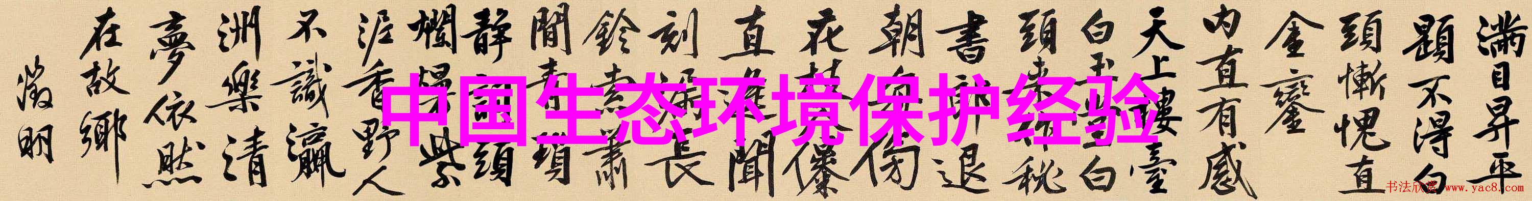 从源头治理如何有效预防城市污水问题