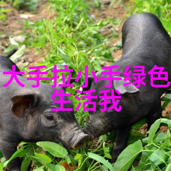 净化设备公司精心打造 生物科技无尘实验室双重纯净空间