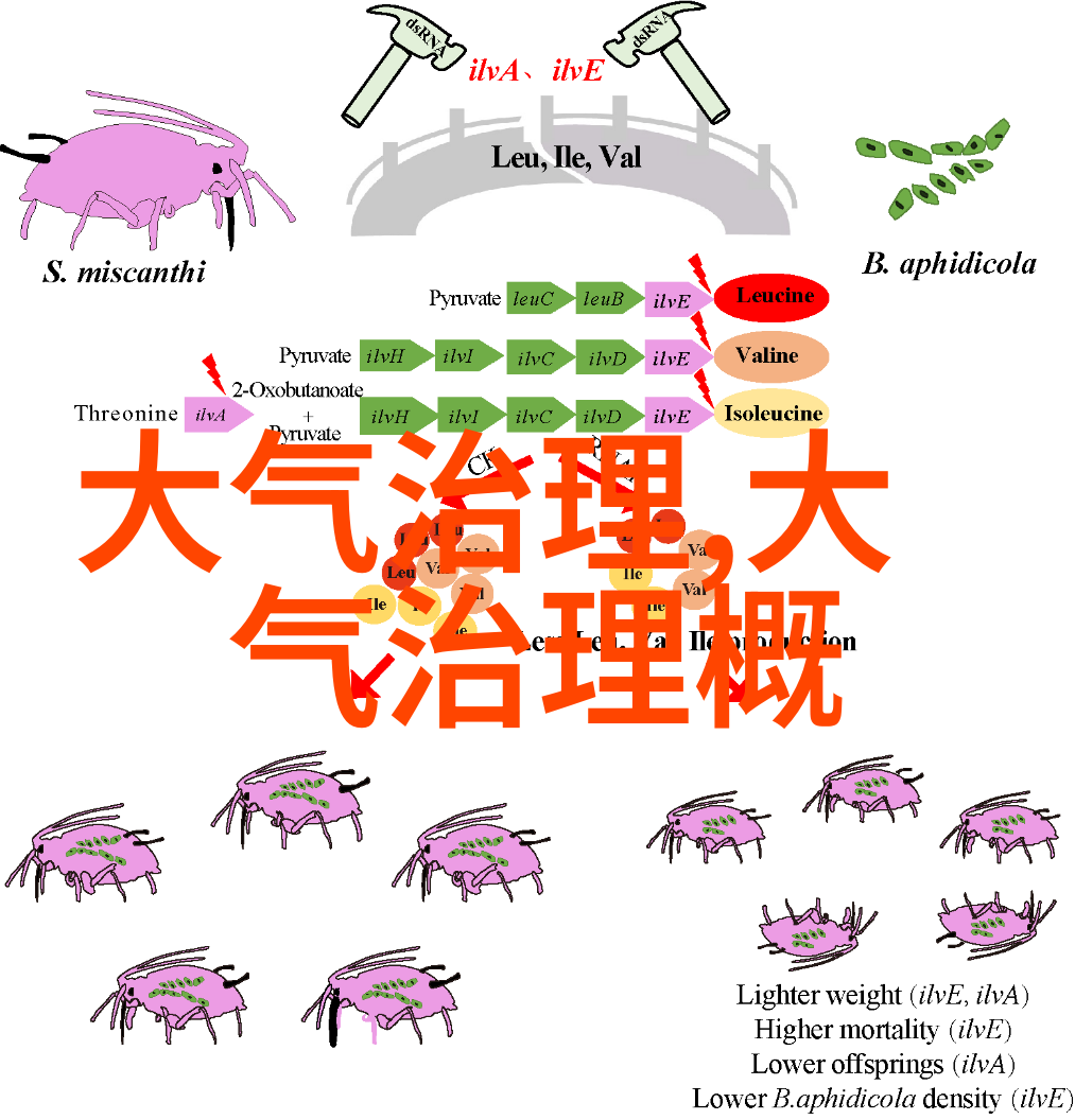 仪表测量系统数字化征象的探索者