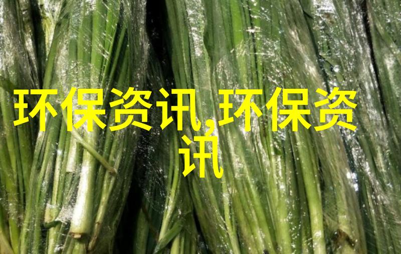 萧山新厂竣工变身为揭幕盛宴探秘如何选出最佳前置过滤器