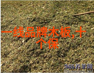 工地管理-工地仪器大全提升建设效率与安全的必备工具