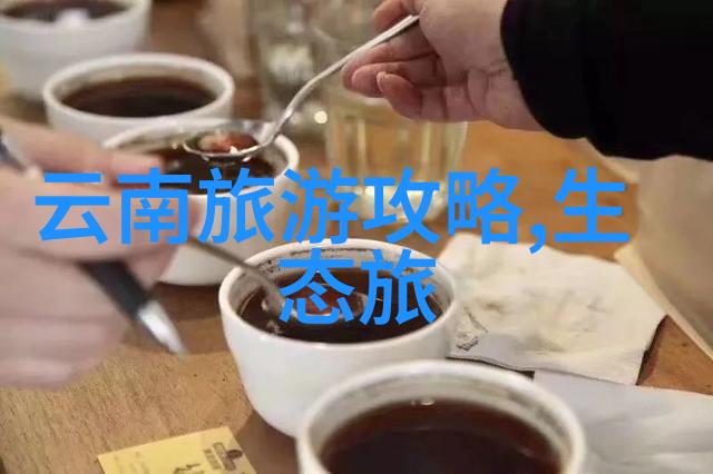 快车道加速视频制作的秘诀