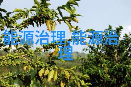 在全球气候变化背景下我们应该如何保护和管理自然资源