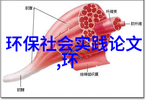 日常生活冷门小知识-揭秘那些常见但不为人知的日常用品