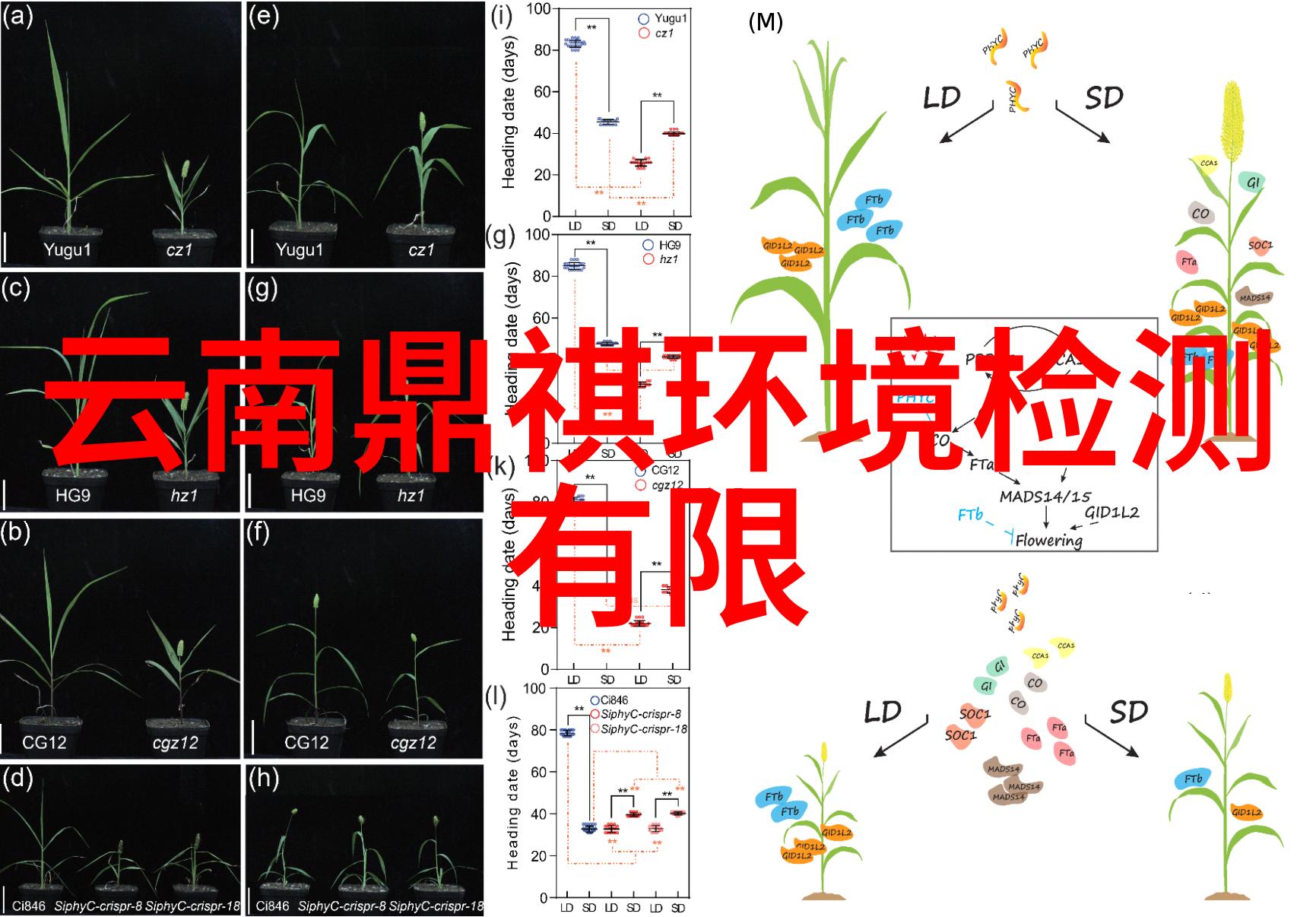 工业仪器仪表网-精准测量新纪元探索工业仪器仪表网的未来发展趋势