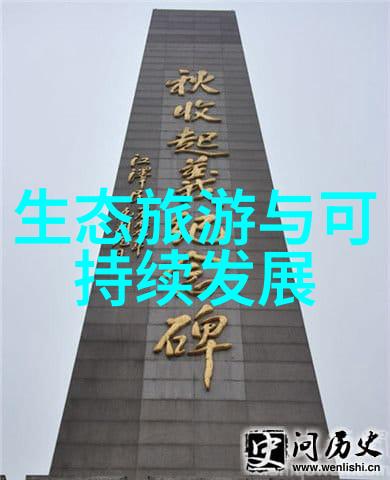 解除仪表黄屏的秘诀一条斜杠带来的解决之道