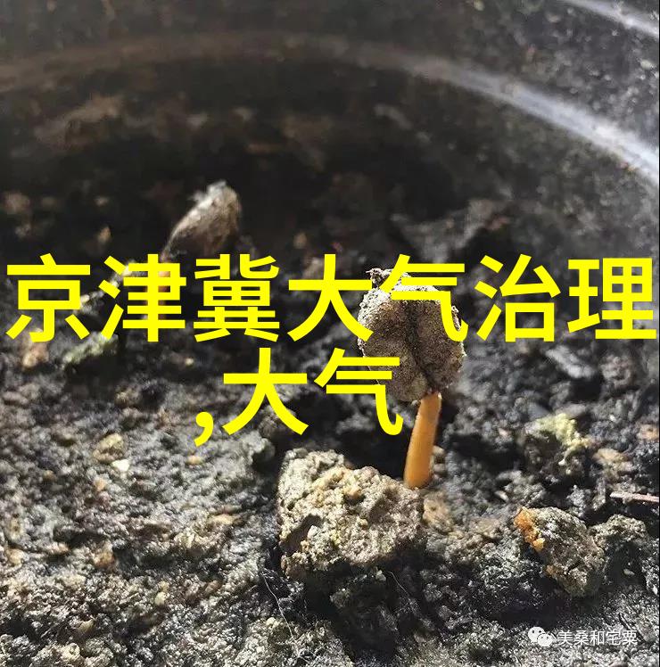 我们如何应对气候变化带来的挑战