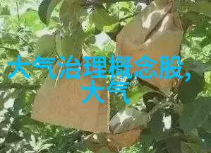 保护环境作品简介怎么写咱们来聊聊