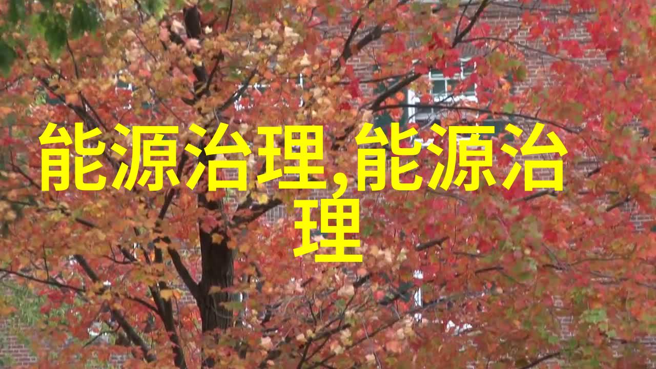 生态旅游的典范新西兰皮霍亚岛之光与其可持续发展秘诀