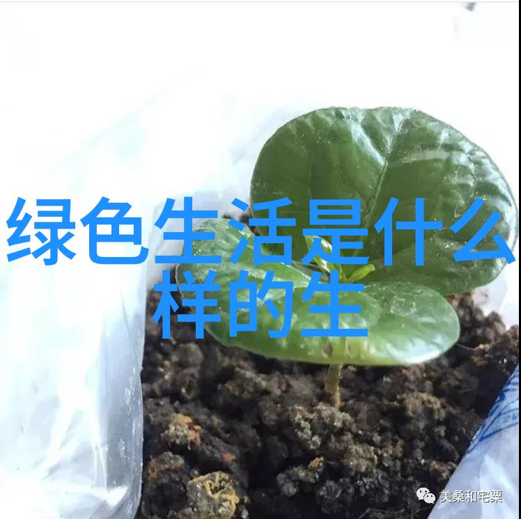 低碳生活照片真实点的-绿色家居环保生活方式的实用指南