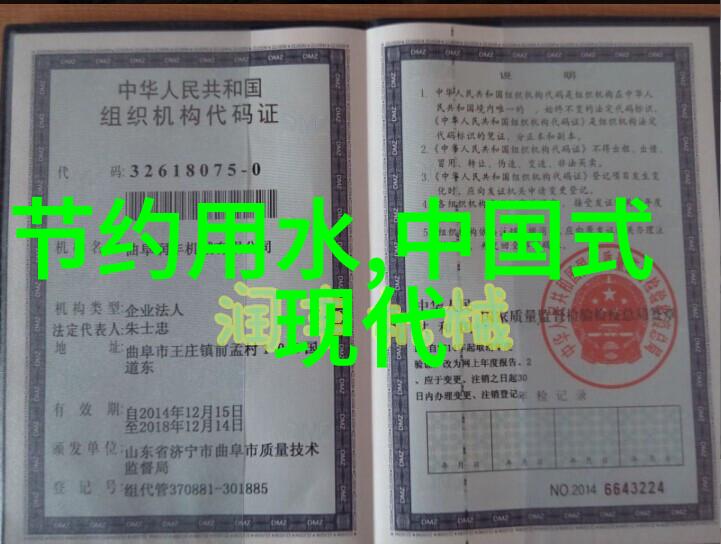 生态保护战略与可持续发展的实践探究从理论到行动的转化路径