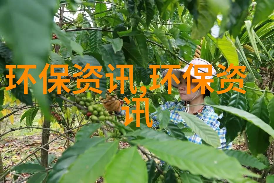 守护地球家园每个人的低碳行动