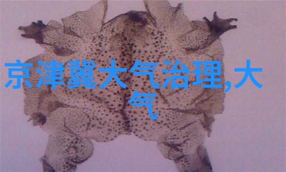 水资源保护战略从源头治理到终端使用策略探讨