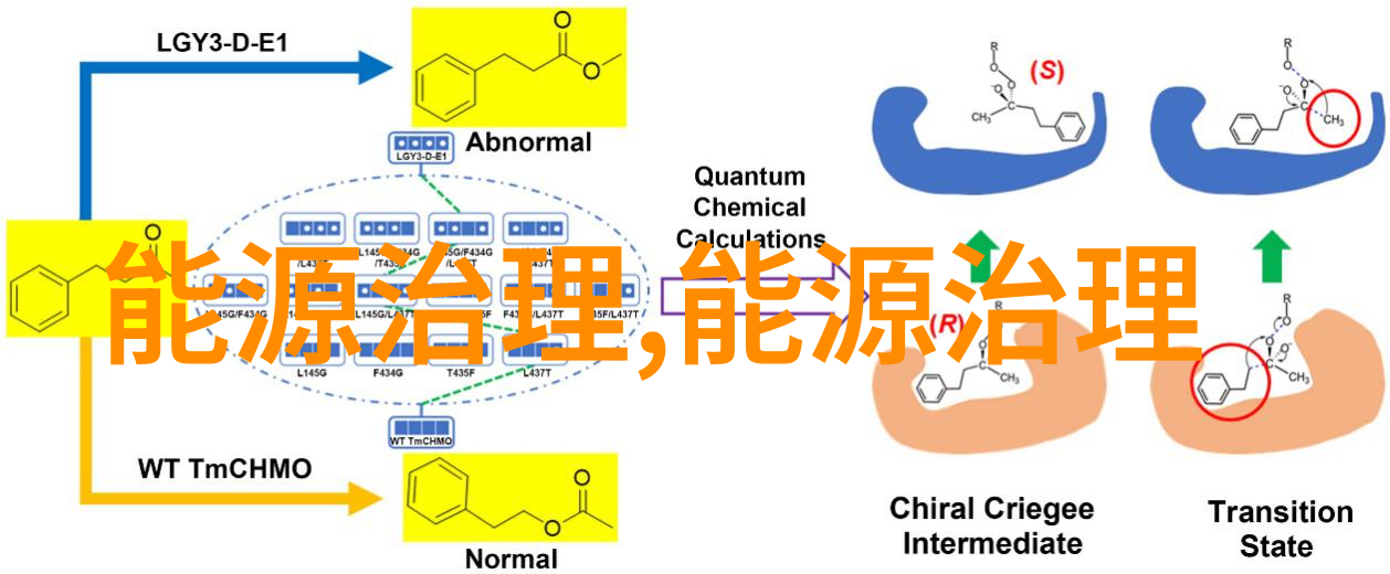 绿意盎然的假期生态旅游与可持续发展的笑谈