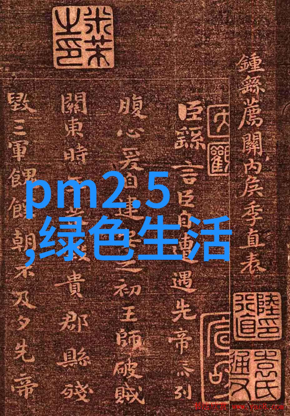 生态旅游探索绿色足迹留下的自然保护故事生态旅游发展可持续旅游环境保护意识自然资源管理