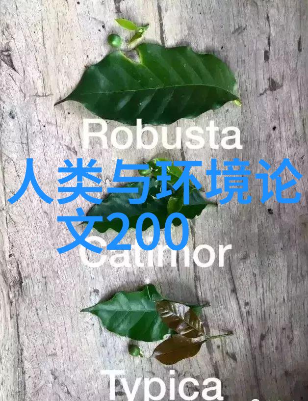 过滤器工厂我在这里的故事从零到英雄