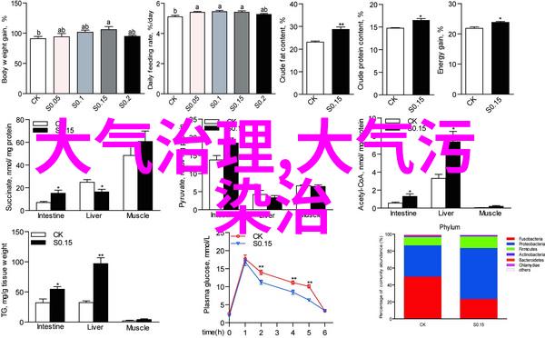 夏日轻吟ZZZ艺术节的回声