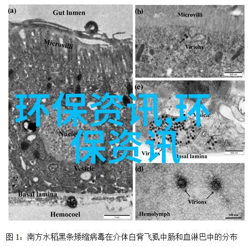 大气治理概念股中JC型长轴泵振动问题的双向解决之道