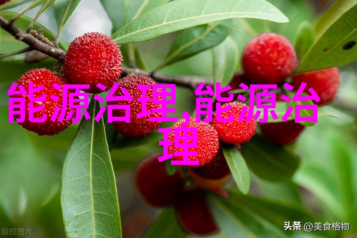 主题我是如何找到最靠谱的净化板生产设备厂家的