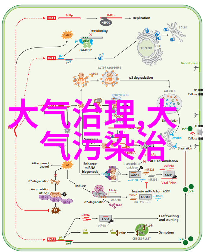 地球的秘密花园探索奇妙的地理现象