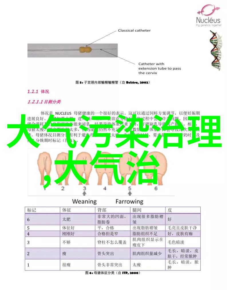 小学生身边的环境问题绿色校园行动环保意识培养