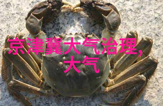 生物多样性之旅探索地球上的奇迹