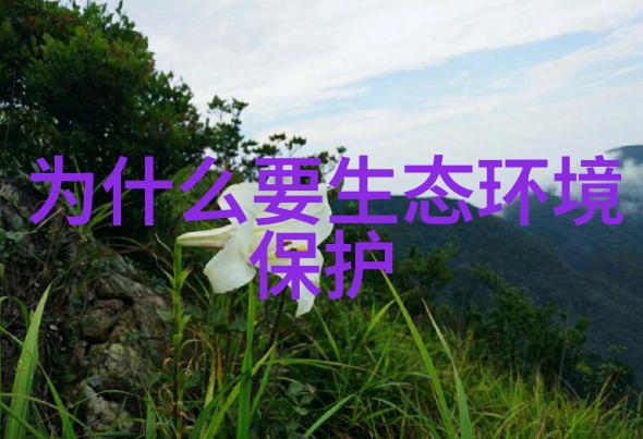 衡水宏运压滤机有限公司精准除菌深层滤芯微孔膜折叠技术革新