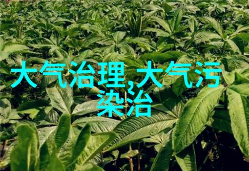 环境保护与经济发展低碳转型的双刃剑