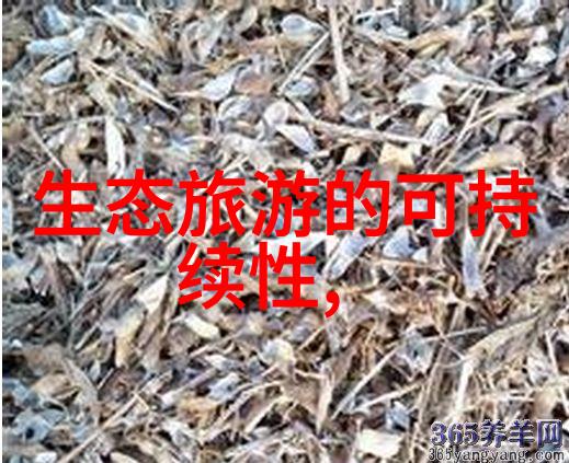 工业反渗透纯水机设备在高科技应用中的创新与挑战研究