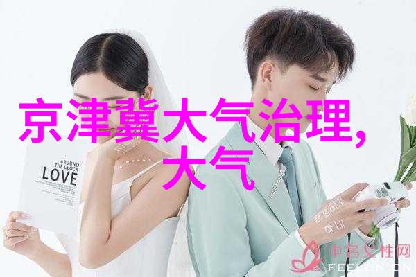 漆雾净化设备能否彻底消除室内外的污染物