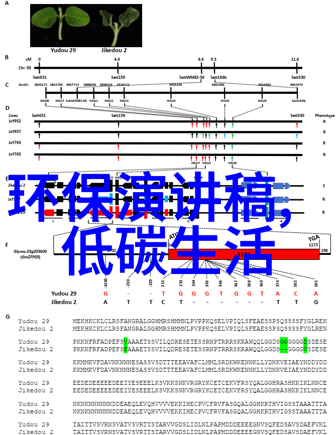 地理的秘密边界揭开未知国家的面纱