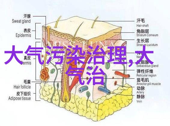 在使用板框隔膜压滤机之前需要进行哪些预处理步骤来提高过滤效率