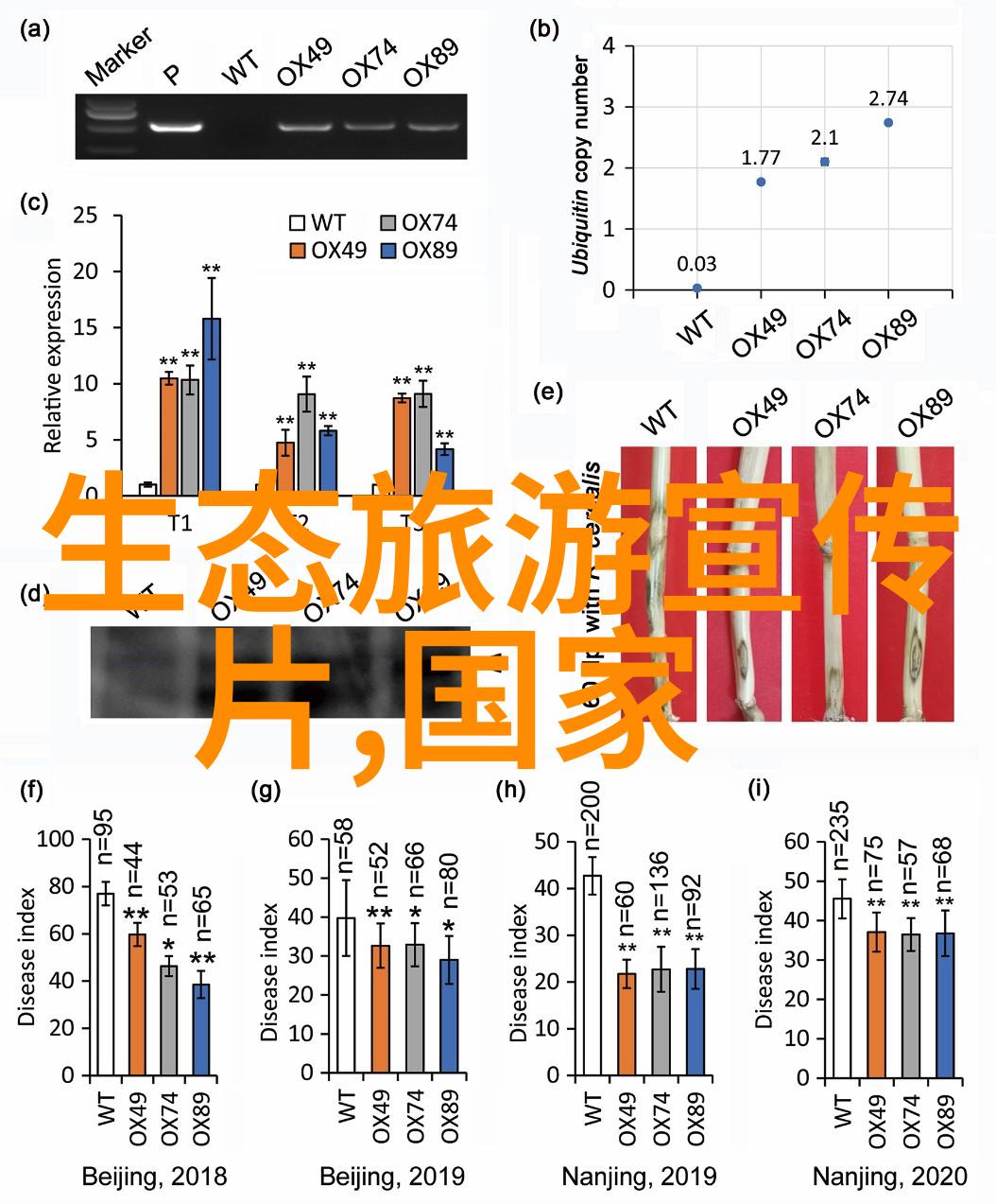 工业反渗透纯水机设备我的水净化之星