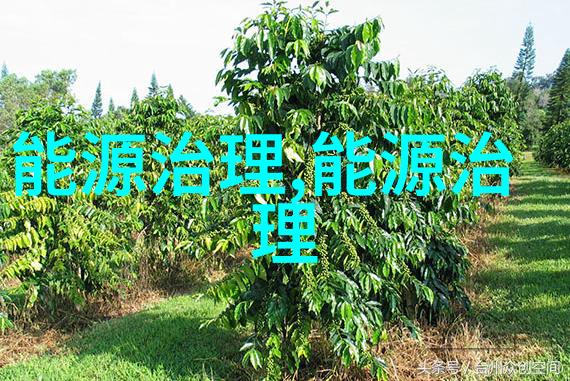 净化设备有限公司的高效化学法二氧化氯发生器仿佛是一位忠实的卫士在无形中守护着空气的清新