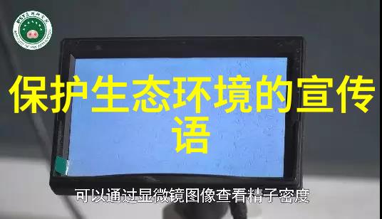 探索中国3D虚拟旅游体验新篇章