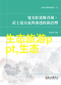 中国绿色转型路上的标杆项目从哪里来到哪里去