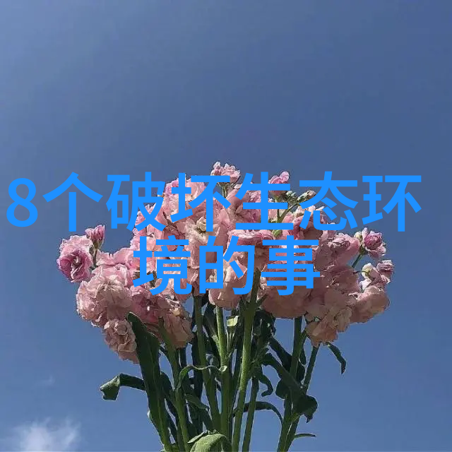 绿植保护论生态平衡与人类福祉的双重维系