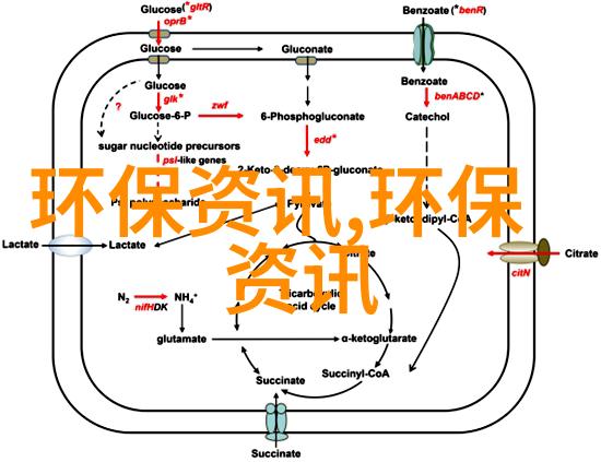 19岁RAPPER潮水欢迎你青春街头的节奏之声