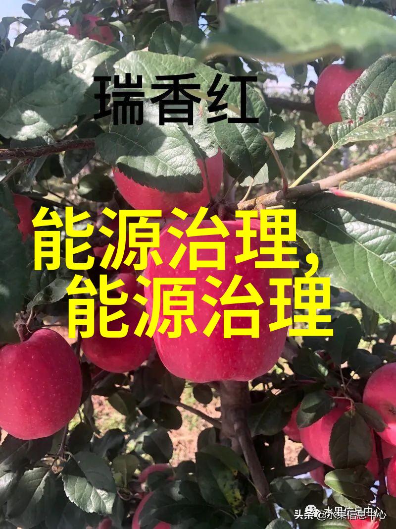 唐纳森无锡过滤器有限公司从工业巨头到绿色梦想的反差之旅