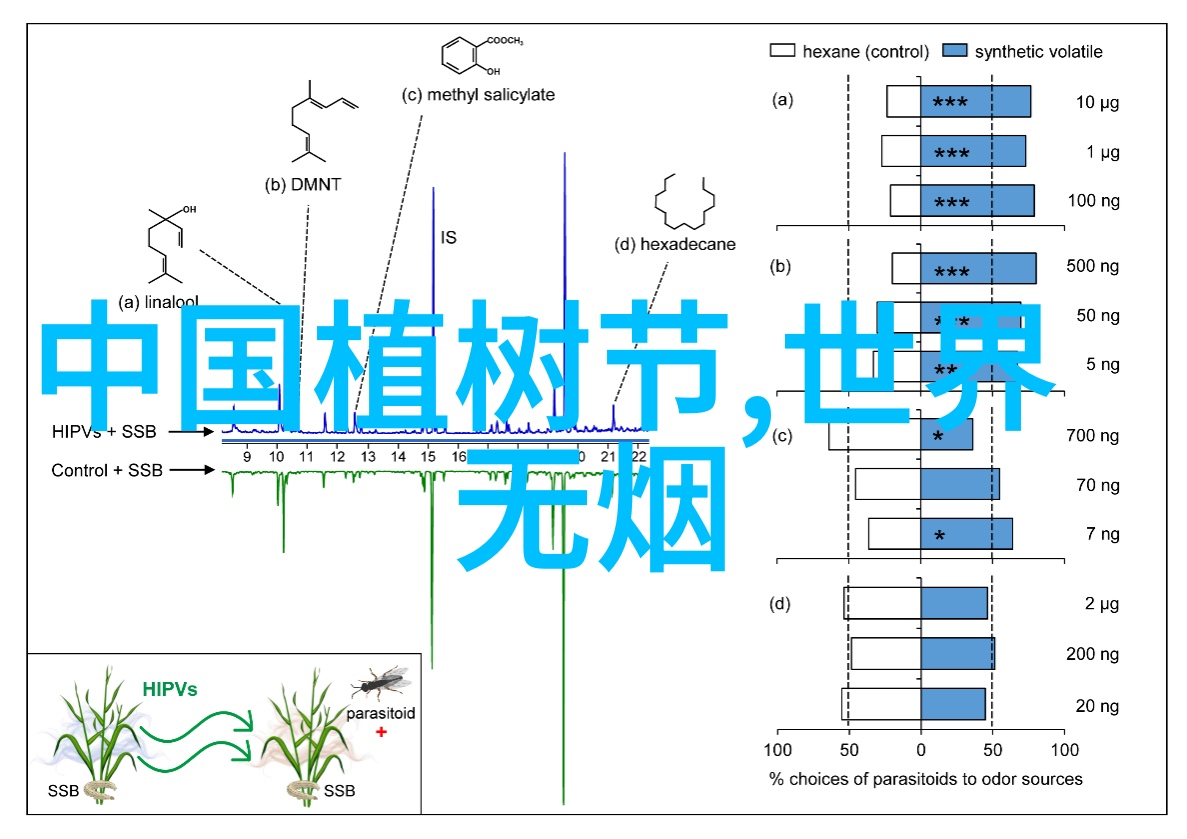 绿色发展下的安全环保新时代环境保护的理论与实践