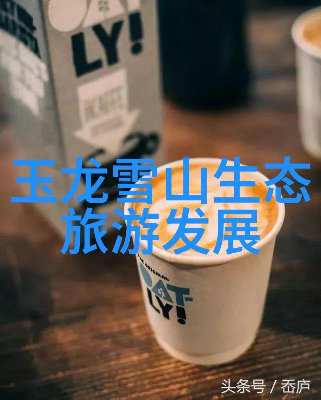 绿色出行小贴士节能环保的公共交通方式选择