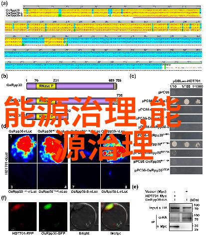 高中生的读物选择从课本到文学世界的探索