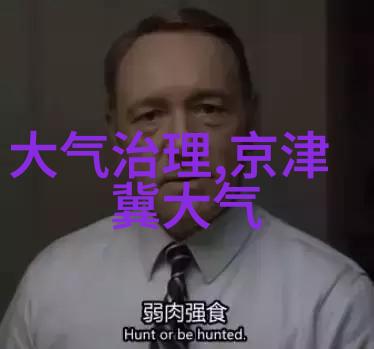 污水净化技术揭秘如何将黑色液体变为清澈之泉