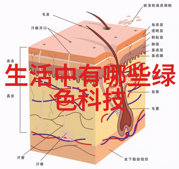 能源治理战略规划构建可持续发展的能源未来