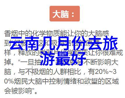 新加坡能源集团再赴进博会引领绿色能源新风潮生态环境我们共有的宝藏地图