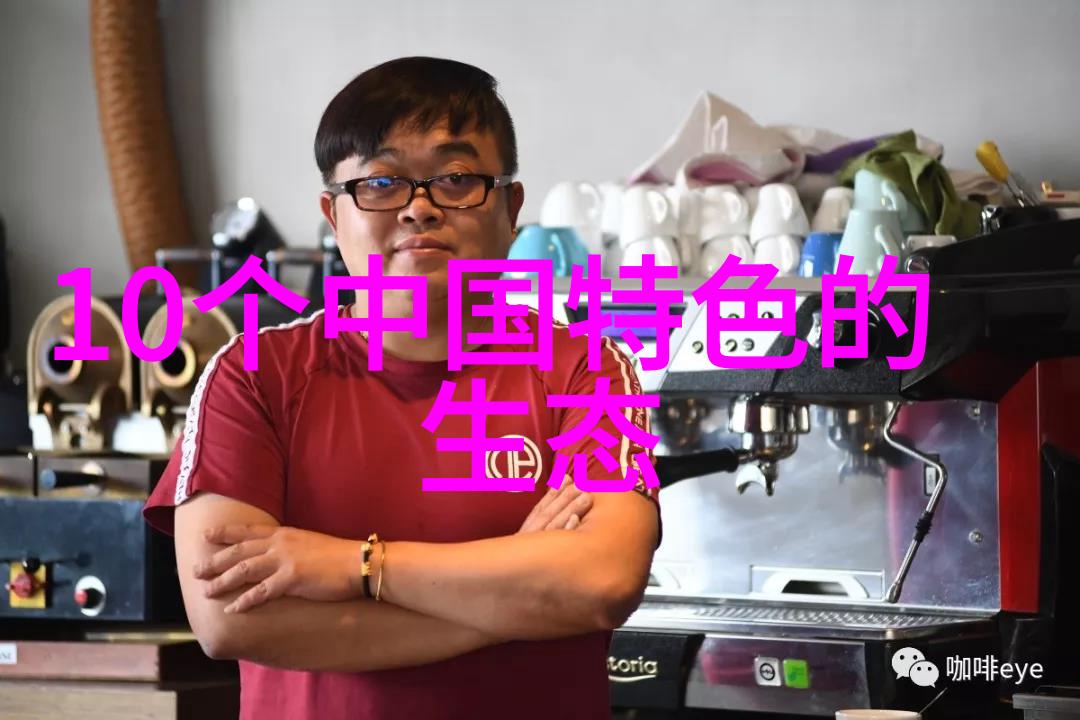 快开式过滤器结构解析一览其内的精妙设计与操作机制