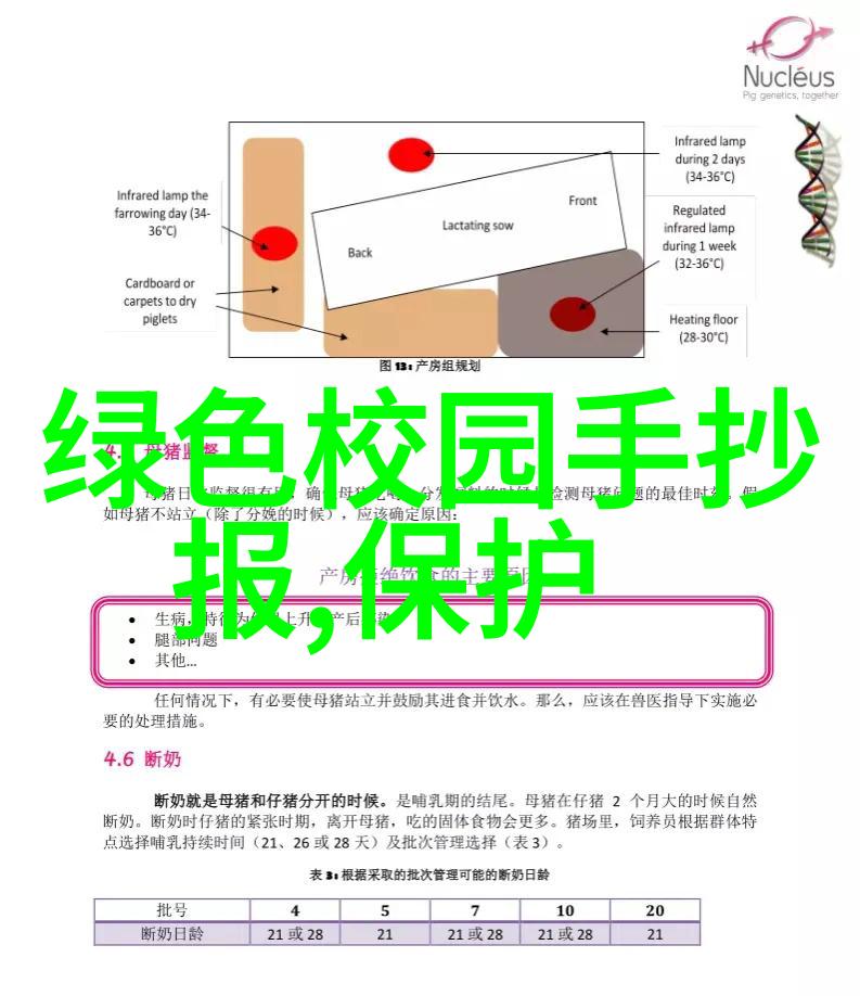 净化水处理设备厂家我来告诉你一个好消息高效低耗的净化水处理设备现在就能买到