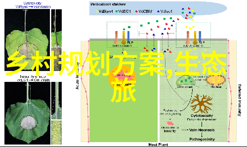 农村居民使用净化水设备后是否还需要进行其他处理