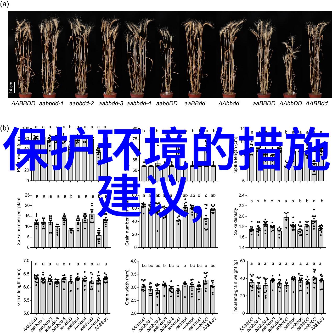 沼气净化设备我是如何让我的家庭沼水变干净的